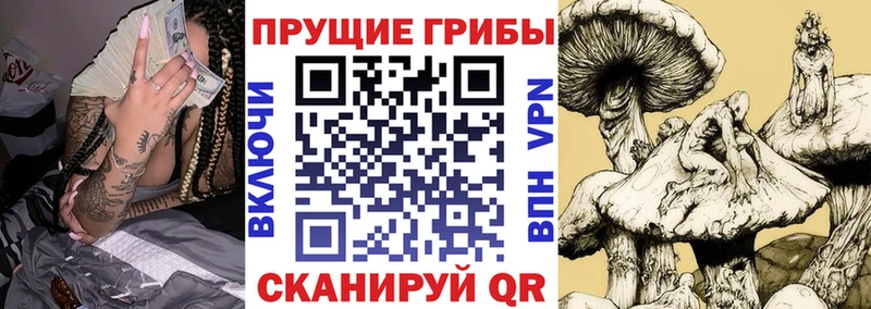 Галлюциногенные грибы прущие грибы  Купить  Выкса 